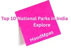 Top 10 National Parks in India Map